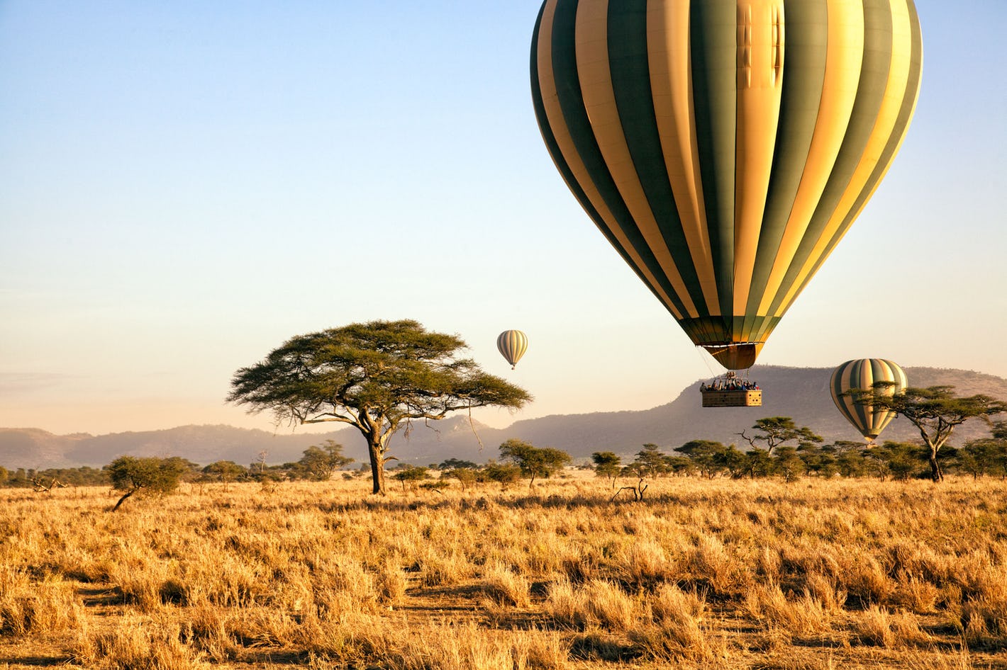 Hot Air Balloon Safari