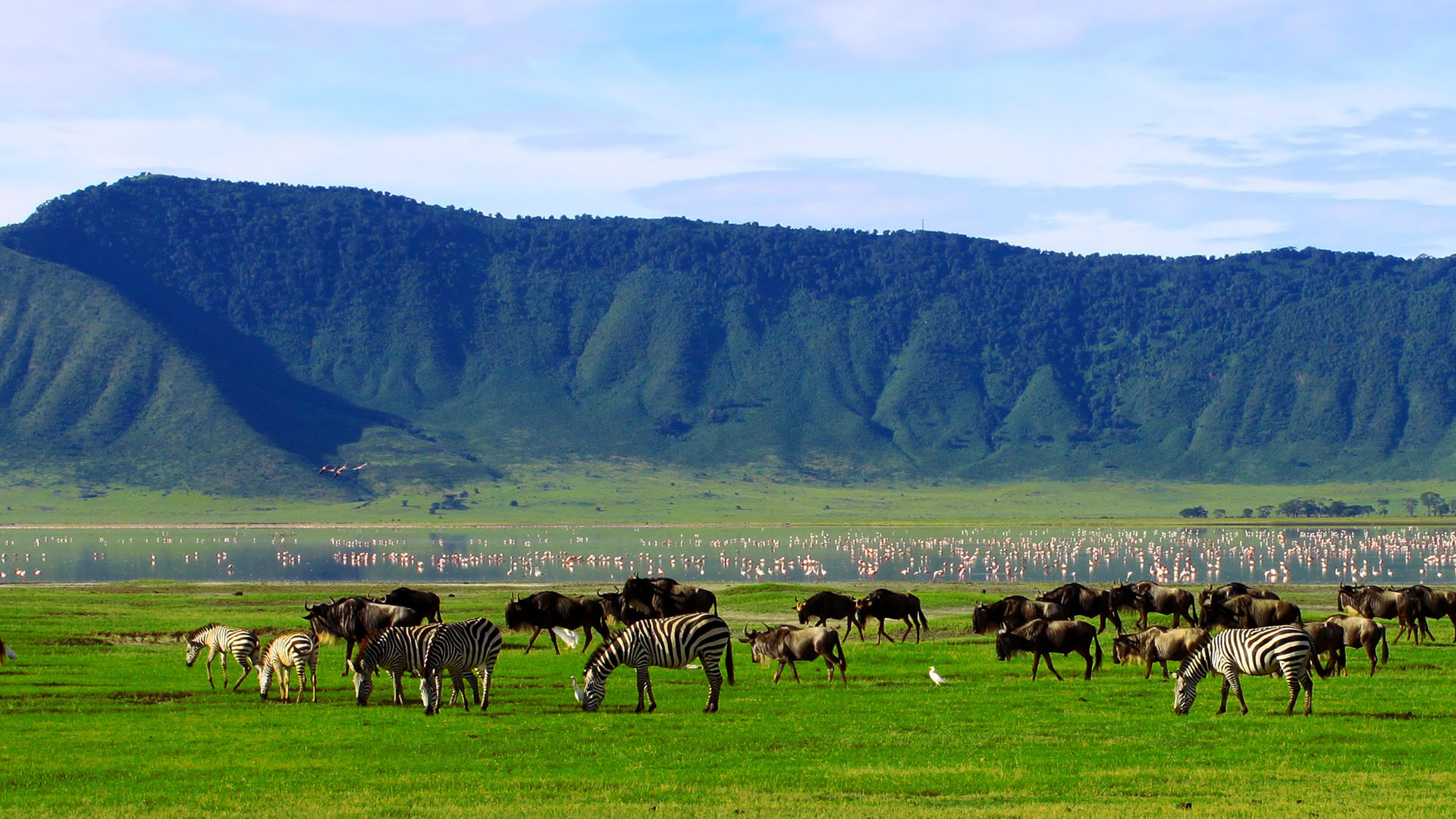 Ngorongoro Crater Safari Guide