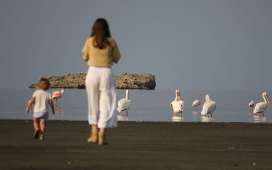 Tanzania Safari with Kids | Family Safari Guide