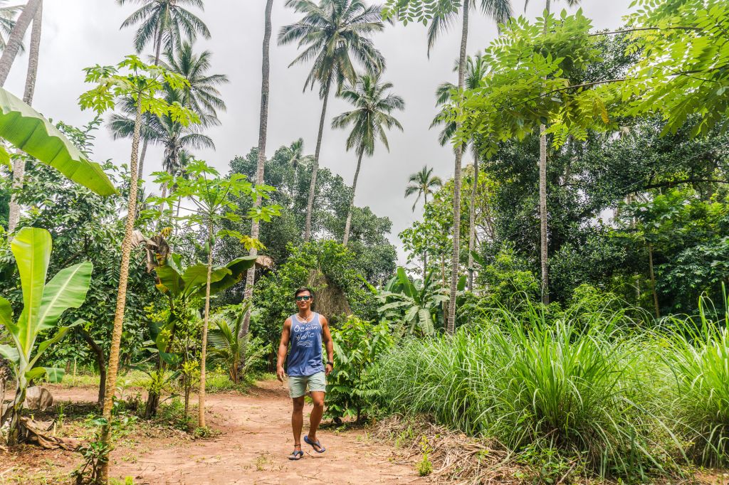 Zanzibar Spice Tour Guide | Spice Farm Experiences